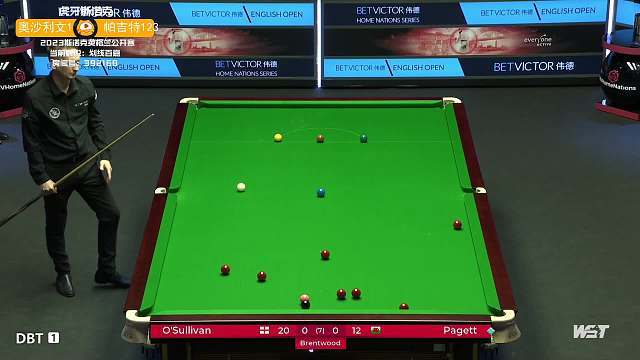 潜力与人气 潜力与人气